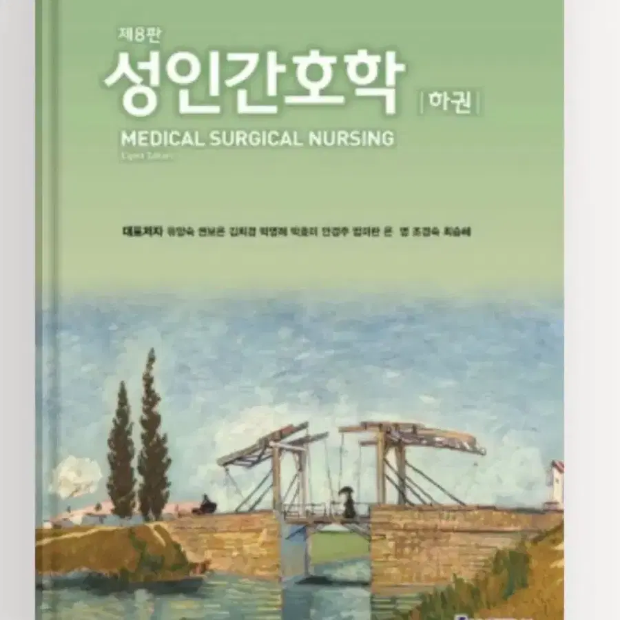 (구해요) 현문사 성인간호학 8판 하 pdf