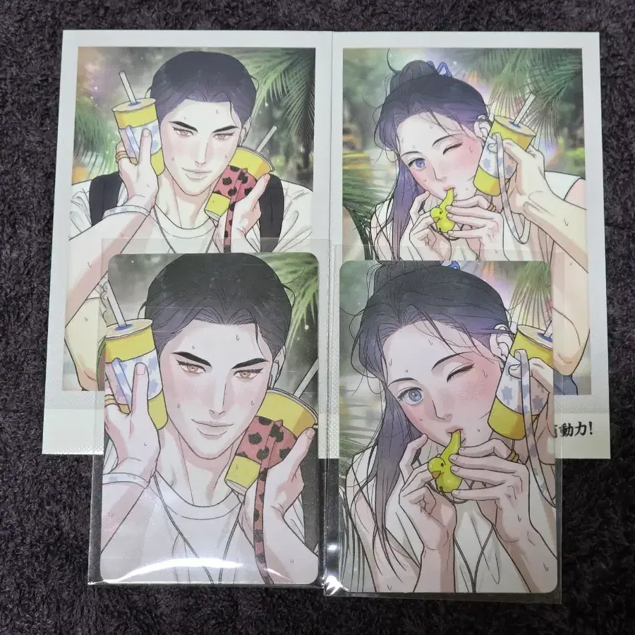 레진 봄툰 월드투어 스냅샷 바강주