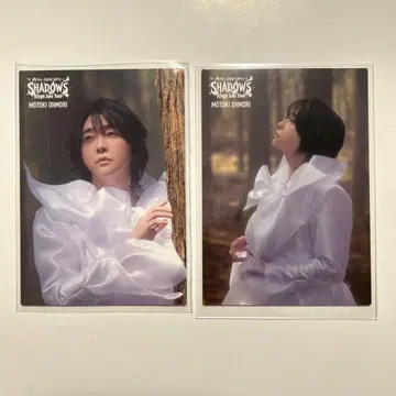 Mrs. GREEN APPLE SHADOWS 포토 카드 오오모리 모토키 씨