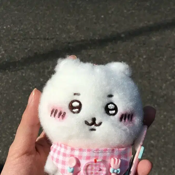 치이카와 호와호와 마스코트