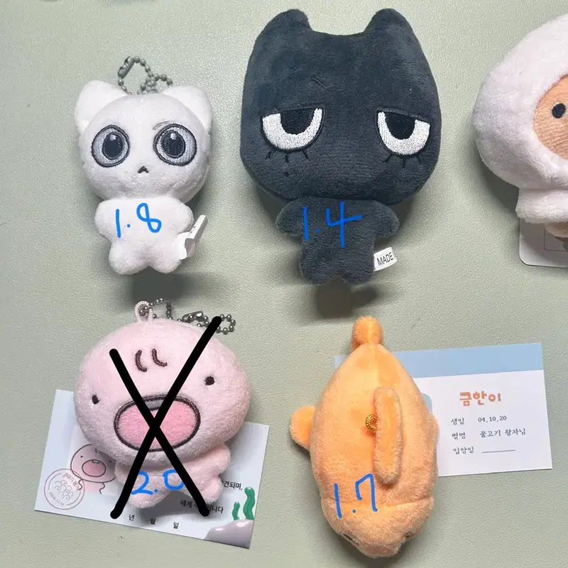 보이넥스트도어 비공식 인형 예삐냥 태냐코 운아기멍게 금한이 운감자 운돌이 수상한 옆집 웅한운 강한류