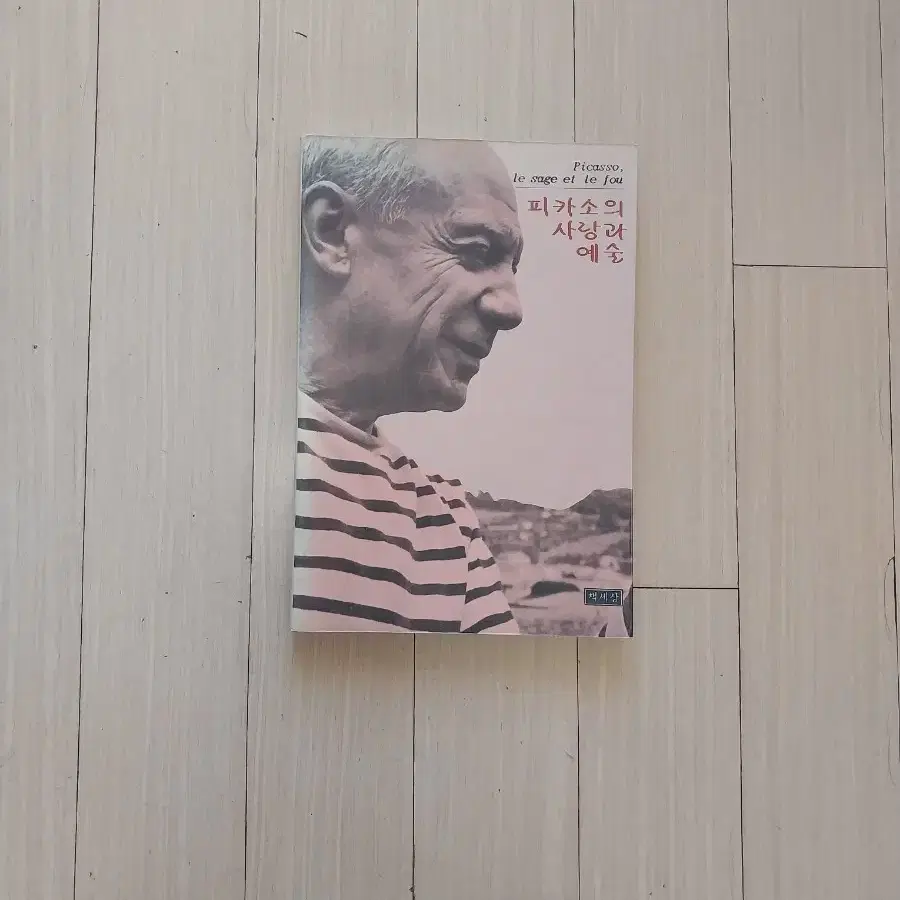책/피카소의 사랑과 예술(컬러)