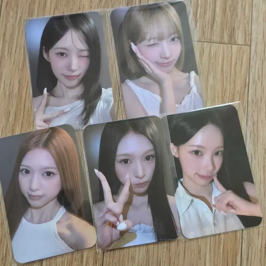 리센느 원이 미나미 메이 리브 제나 에이페 epais 포토카드 포카 5종 일괄 세트 포토카드 굿즈