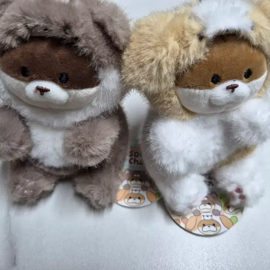 신상 우소우소 동물 코스튬 우소우소짱 강아지 고양이 인형 키링 2종(약12cm)
