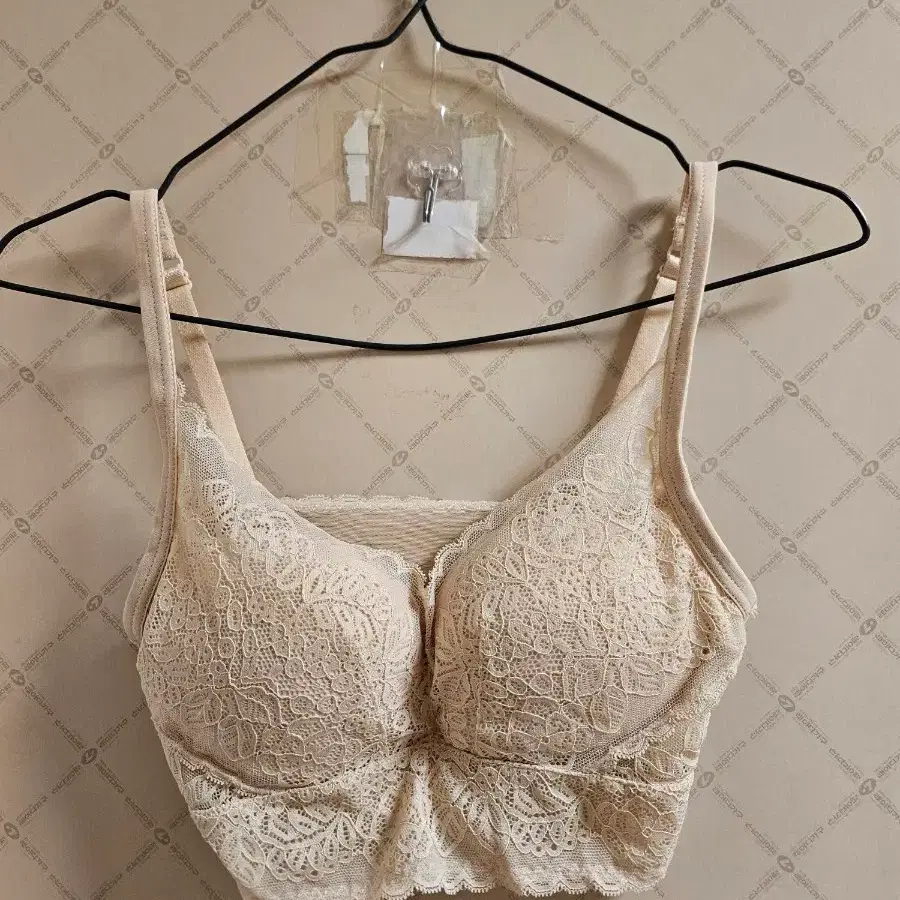 여성 속옷 브래지어