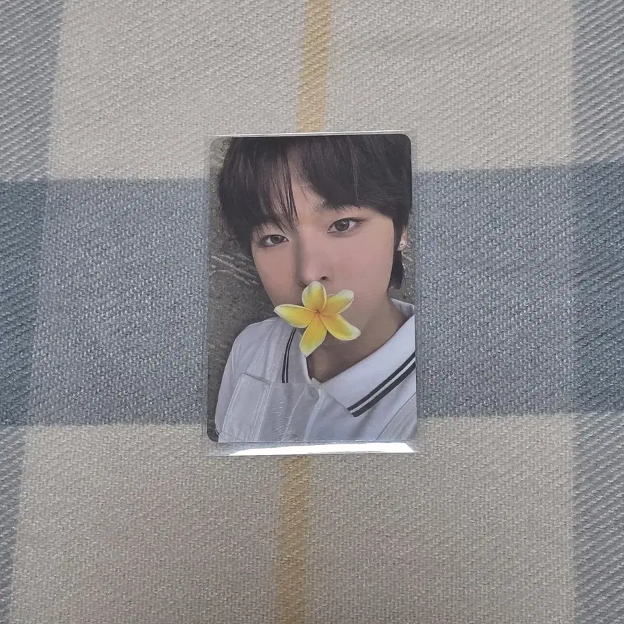 엔시티 위시 컬러 리쿠 서프 포카