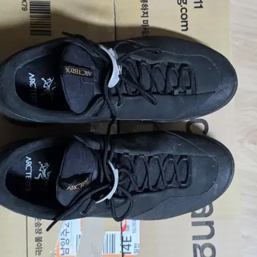 아크테릭스 컨실 GTX 250