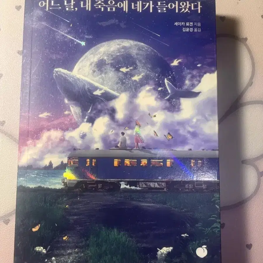 어느 날, 내 죽음에 네가 들어왔다 소설