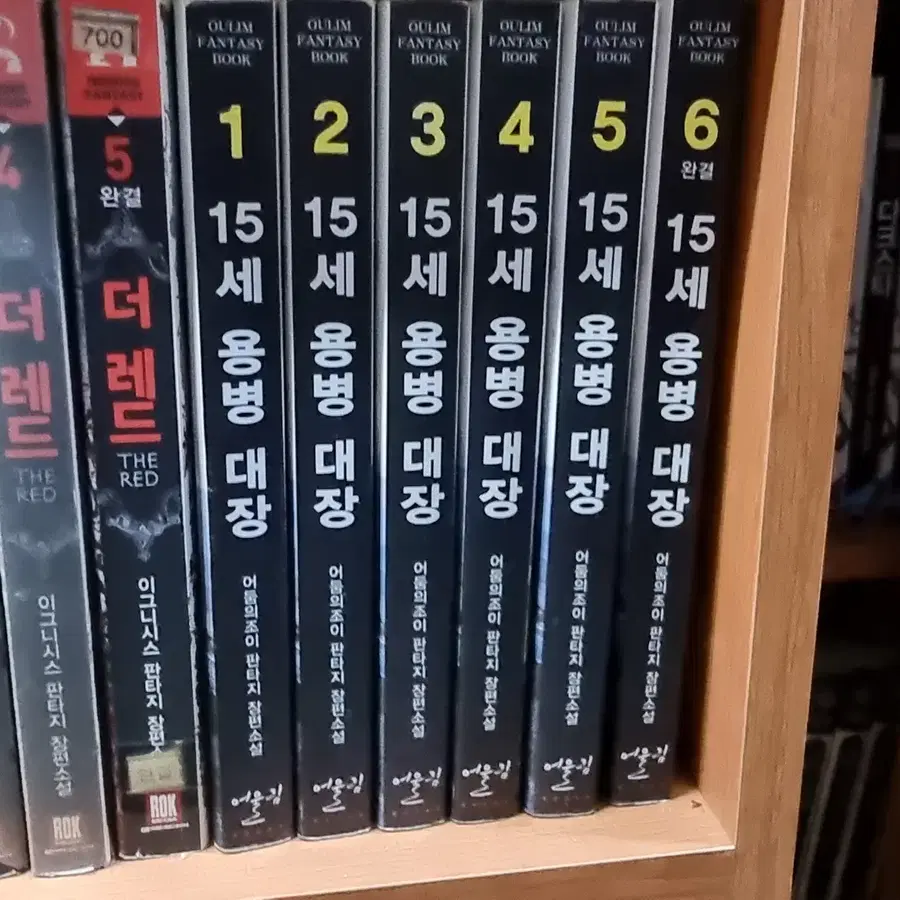 15세용병대장 1-6 완 어둠의 조이 판타지 소설