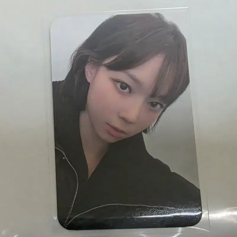 에스파 윈터 포카 에버랜드 ar 리워드 포카