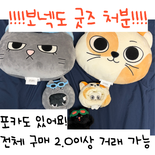 보넥도 보이넥스트도어 쁘넥도 인형 쿠션 포카 앨범 판매