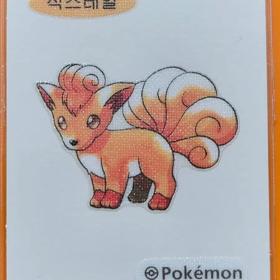 포켓몬띠부씰 아트워크_식스테일