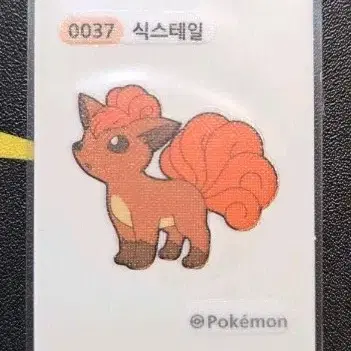 포켓몬 식스테일 0037 띠부씰