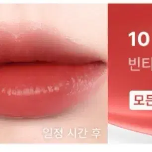 브레이 씬글로우 틴트 10 허틀