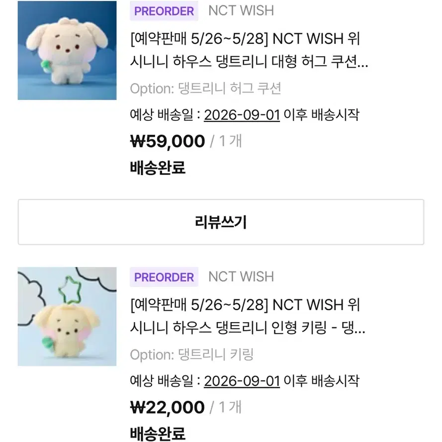 NCT WISH 엔시티위시 위시니니 하우스 댕트리니 허그쿠션 키링