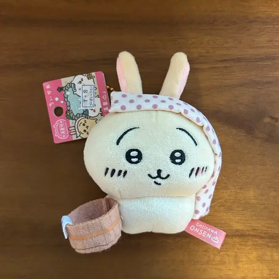교토한정 온천 우사기