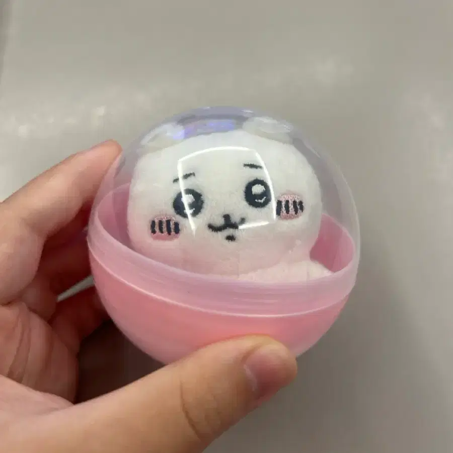 치이카와 앉은누이 구버전 1탄