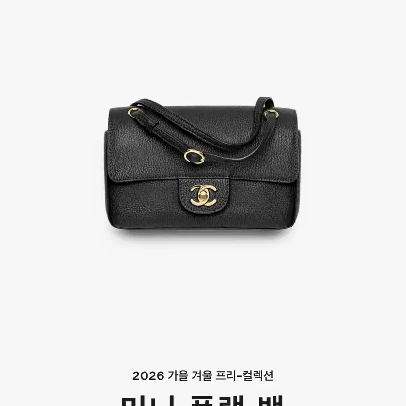 샤넬 미니 플랩백