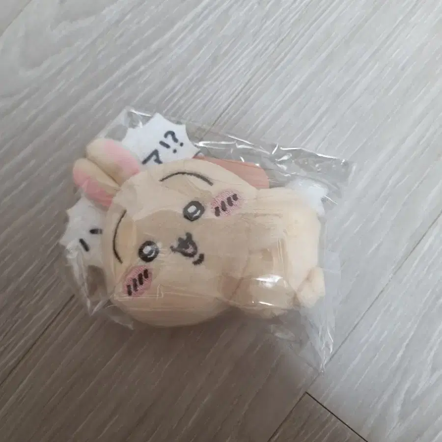 우사기 투성이 쿠지 e상 하아!?