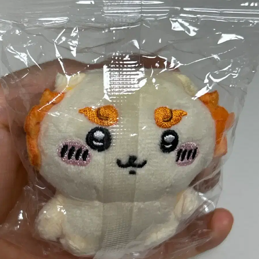 치이카와 오스와리 누이 시사