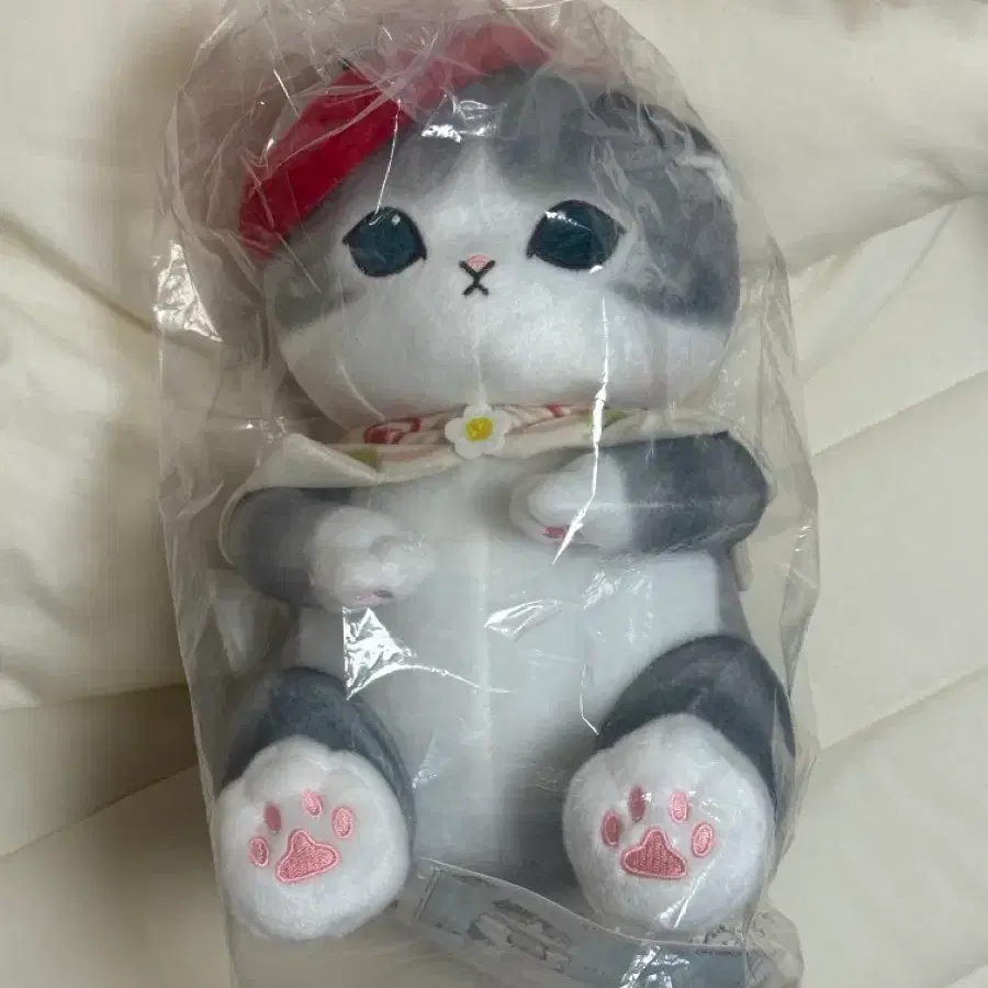 모프샌드 쿠지 B상