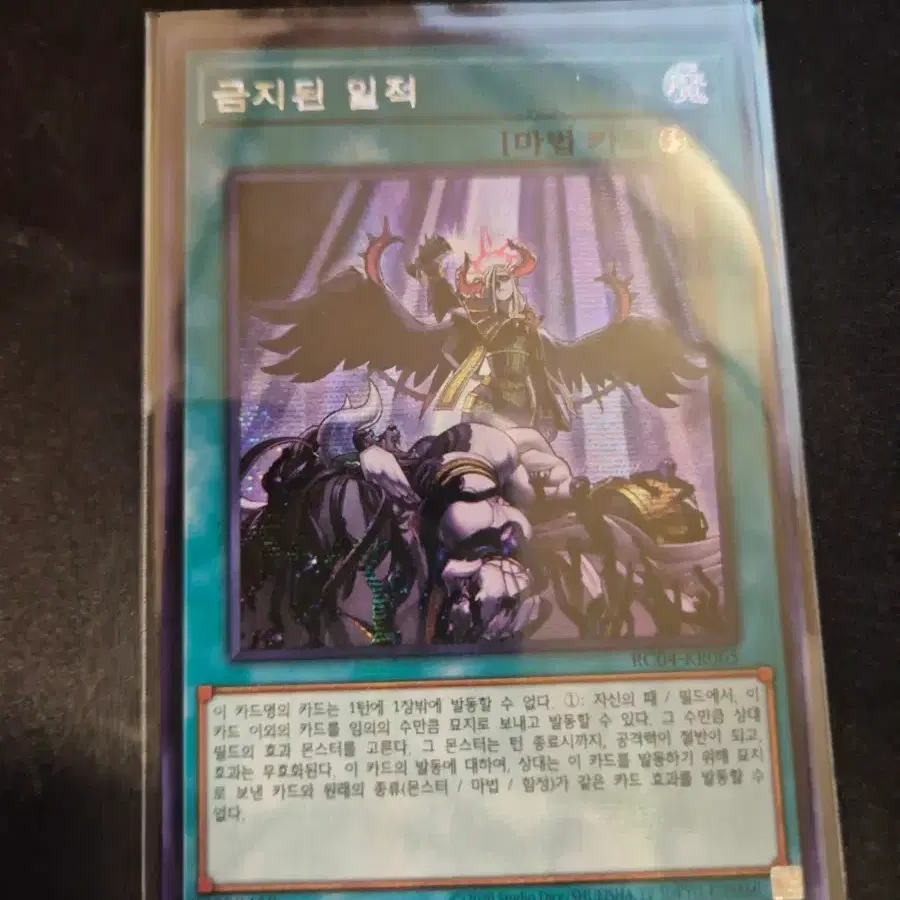 금지된 일적 시크