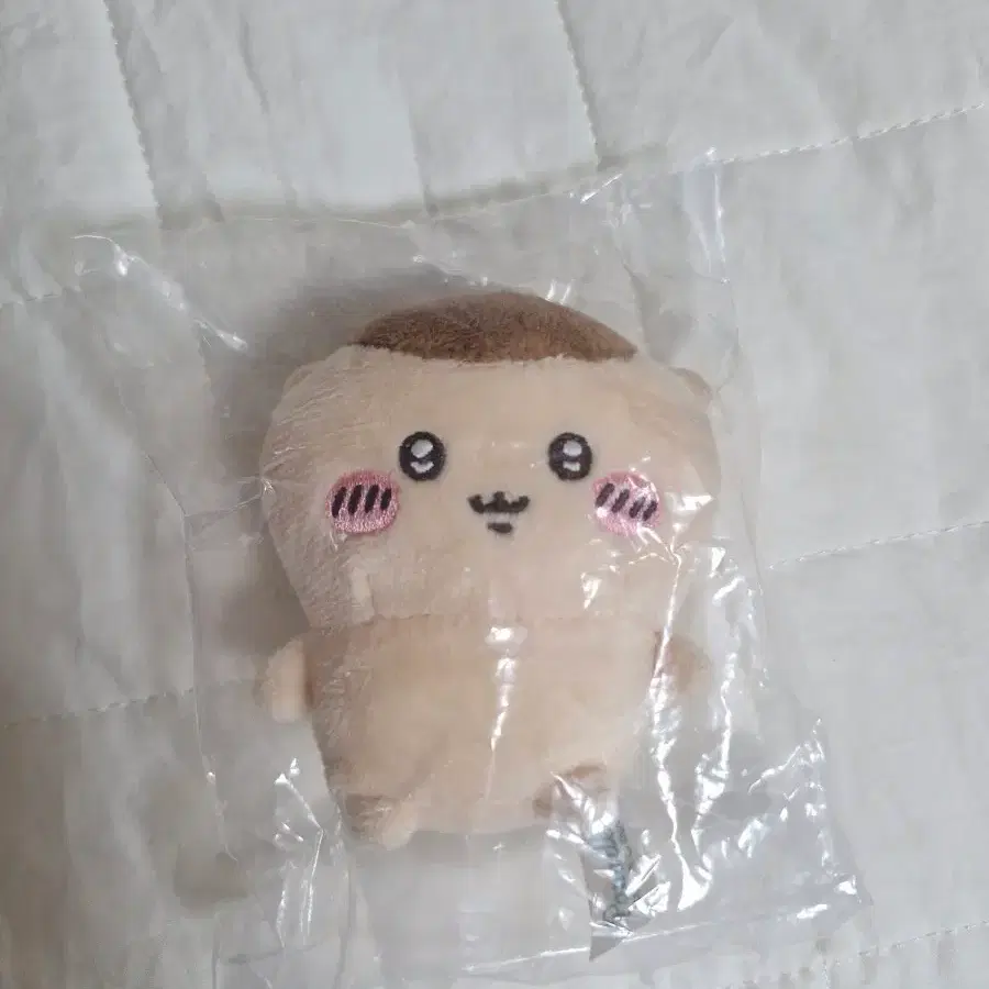 치이카와 앉은 누이 쿠리만쥬
