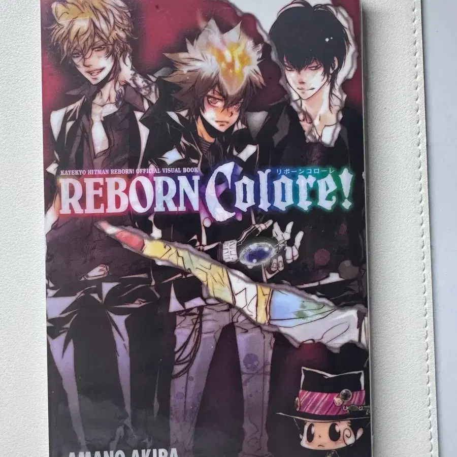 가정교사 히트맨 리본 비주얼북 REBORN 가히리 판매 책