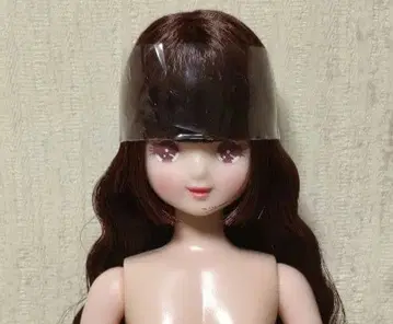 리카짱 프렌즈 유메카짱
