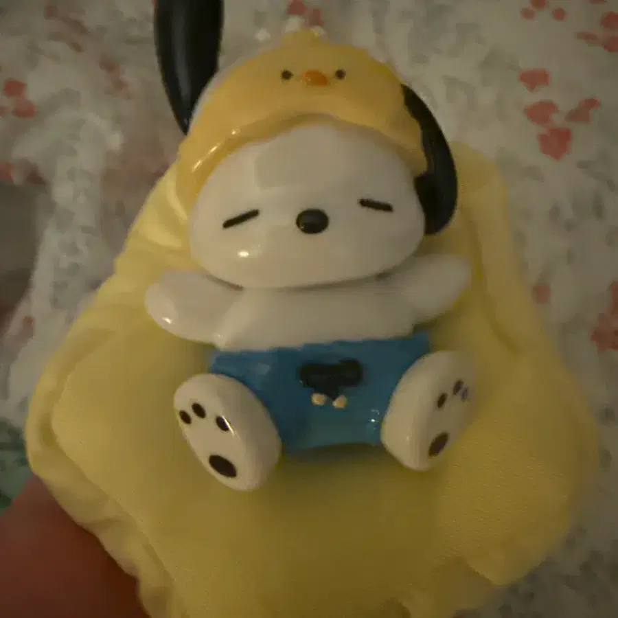뽑은인형
