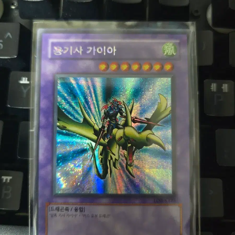 용기사 가이아 시크릿 레어