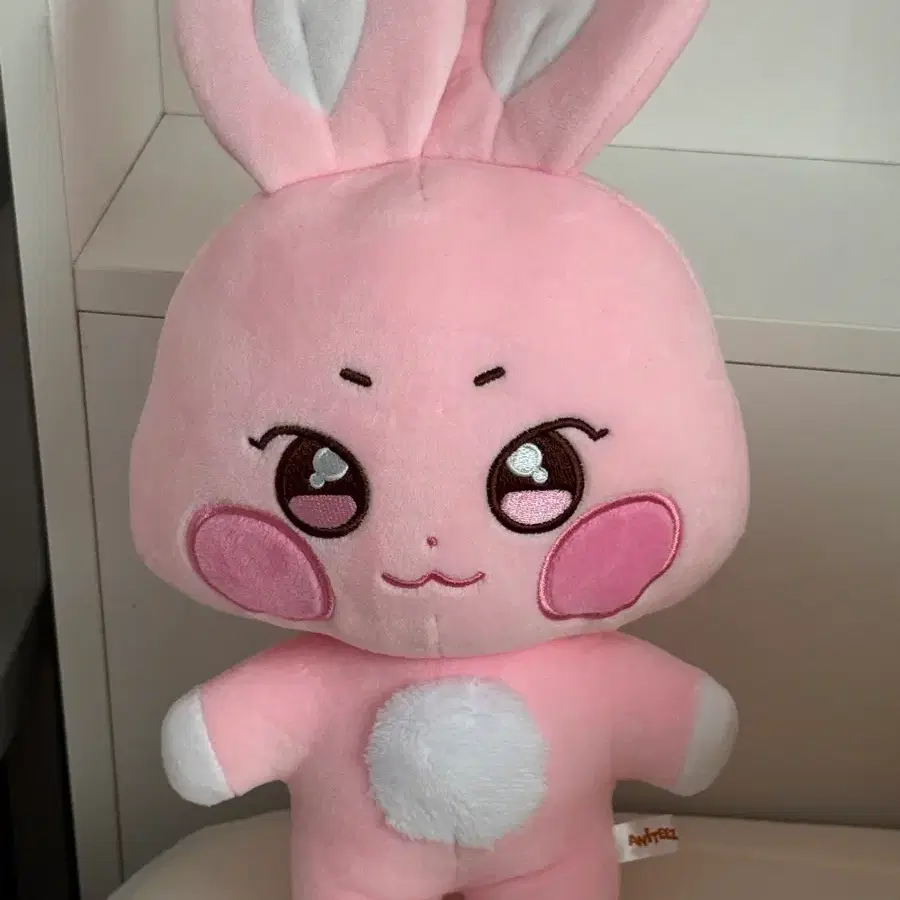 성화 인형 떵별이 양도합니다