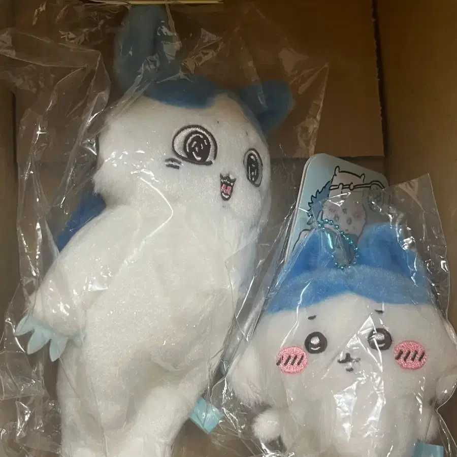 현물)패러렐 하치와레 / 데카와레 세트