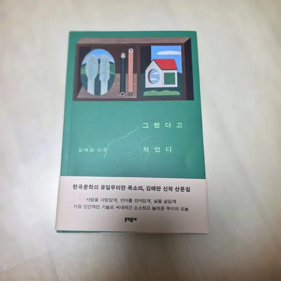 그랬다고 적었다 김애란 산문집