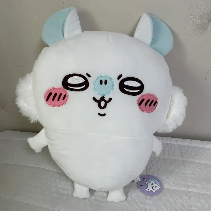 치이카와 모몽가 빅누이