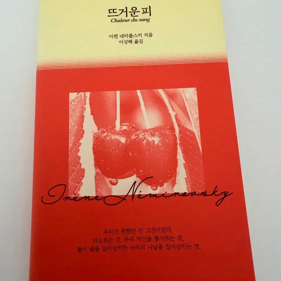 도서 뜨거운피