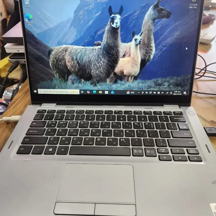 래디튜드 터치 스크린 노트북(Latitude 5310 2-in-1)