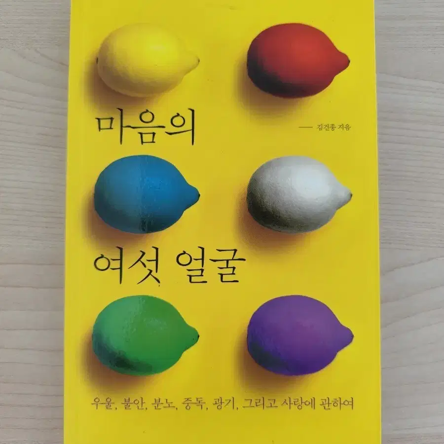 마음의 여섯 얼굴 김견종 지음