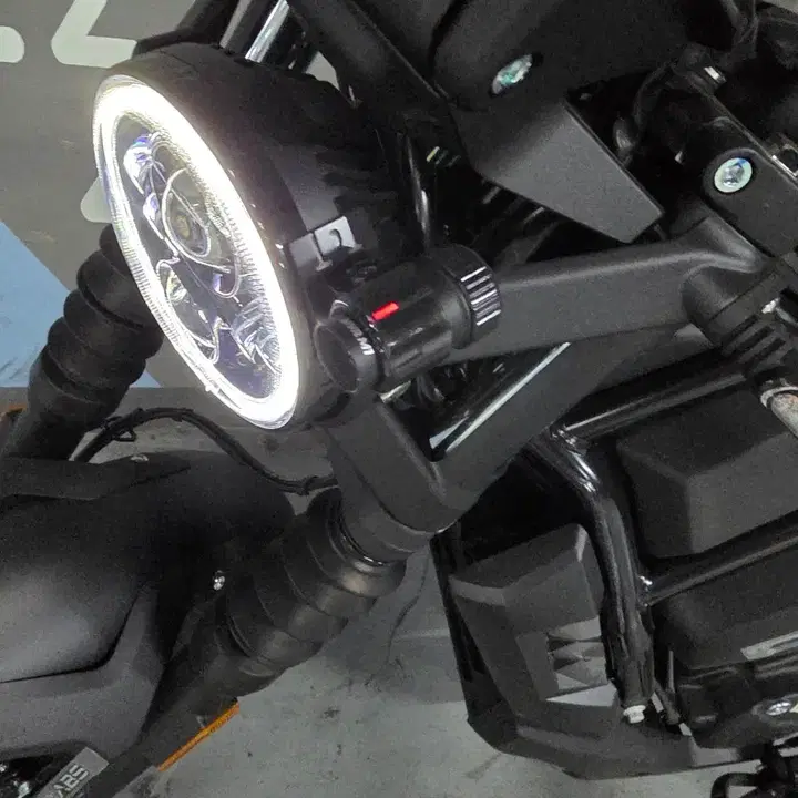 울프125C (2026) 5