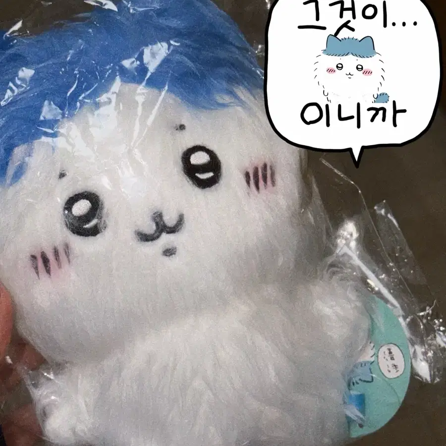 초판 먼작귀 하치와레 털찌와레 인형 누이