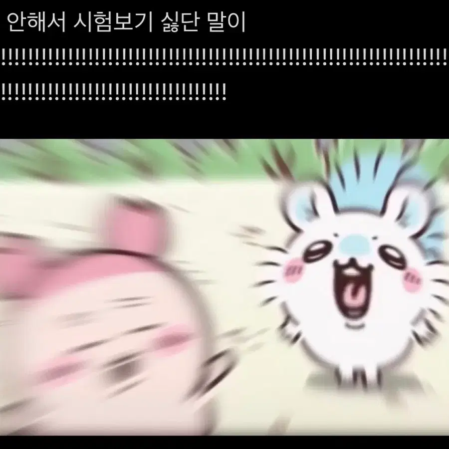 랜덤인형,피규어 (먼작귀 별의커비 리락쿠마 등)