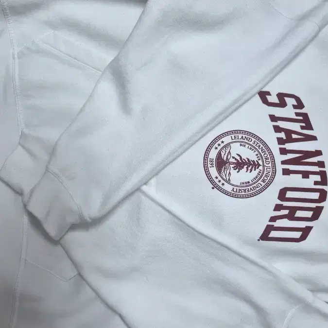 미국 stanford 후드티 흰색