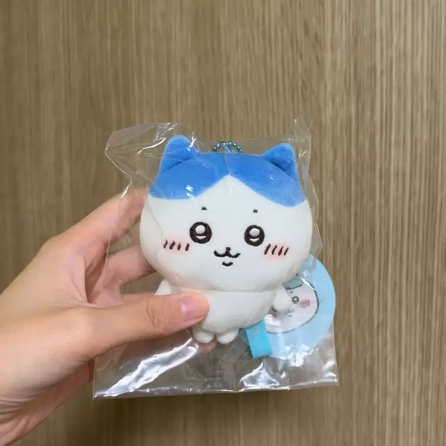 치이카와 하치와레 쁘띠 모칫또 기본 마스코트