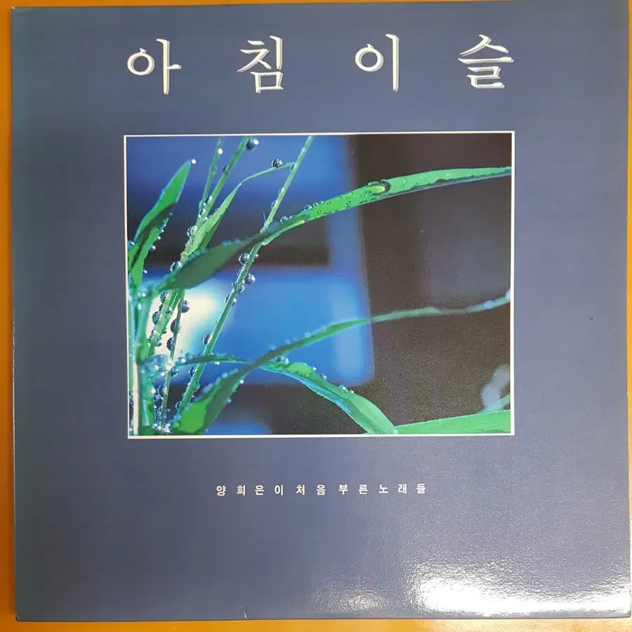 LP/양희은-양희은이 처음부른 노래들(2Lp.GF자켓)