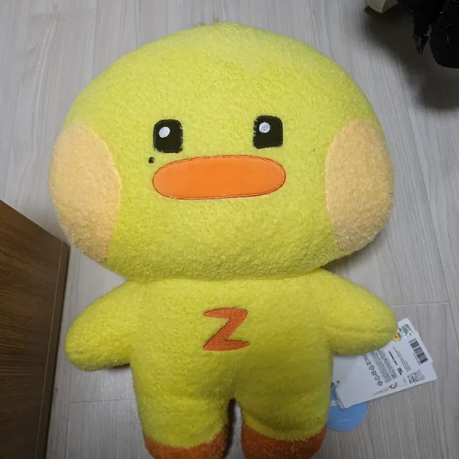 대왕태니니