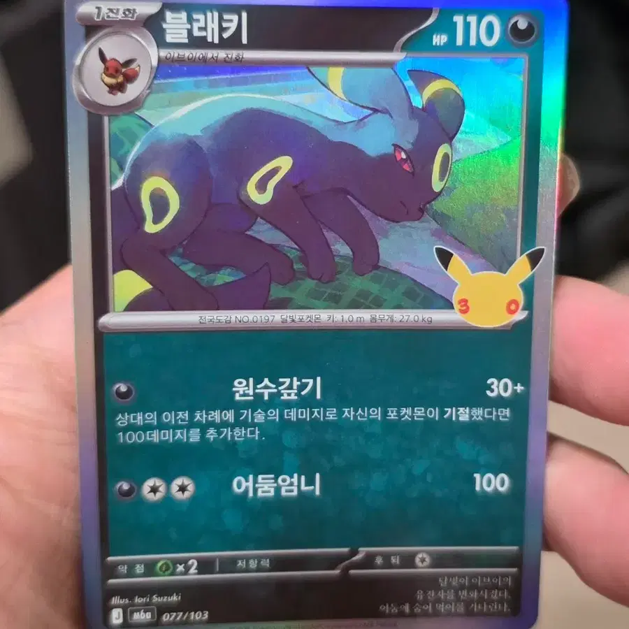 포켓몬카드 30주년 카드 블래키 A급