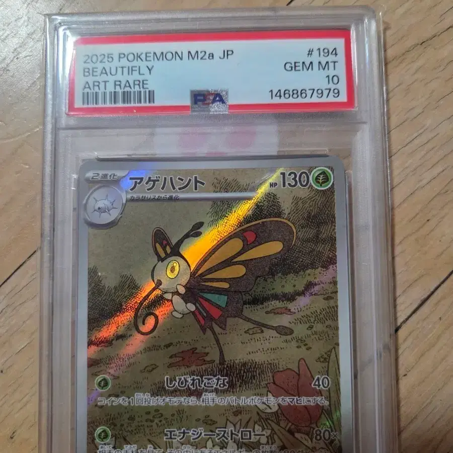 포켓몬 TCG psa10 뷰티플라이 AR 메가 드림 ex (일어판)