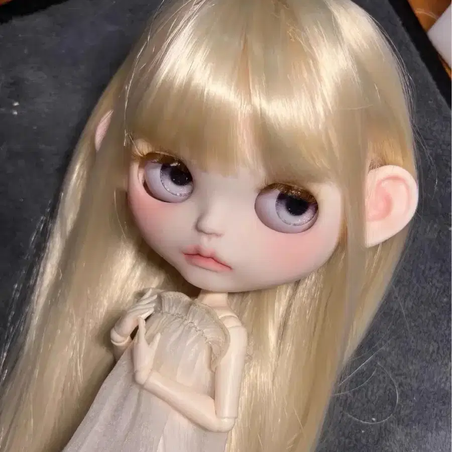 브라이스 블라이스 타오걸