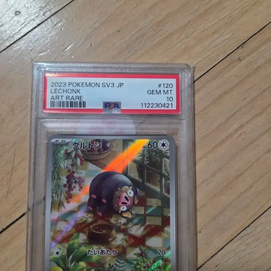 포켓몬 TCG psa10 맛보돈 AR 흑염의 지배자 (일어판)