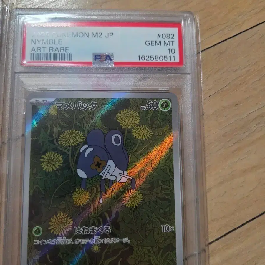 포켓몬 TCG psa10 콩알뚜기 AR 인페르노 X (일어판)